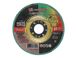 Круг лепестковый торцевой 125х22 14А Р120(10)