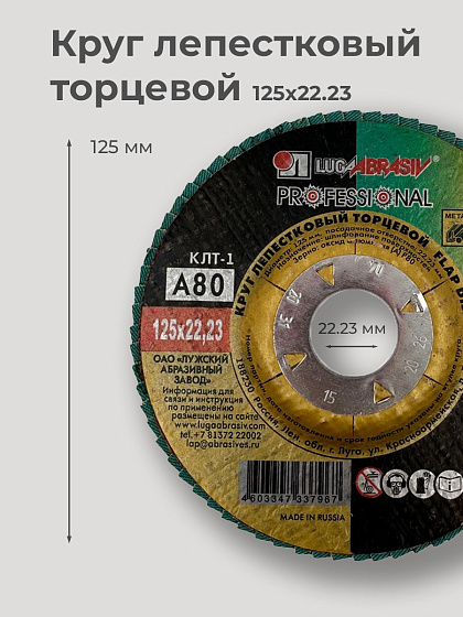Круг лепестковый торцевой 125х22 14А Р 80(20): фото 2
