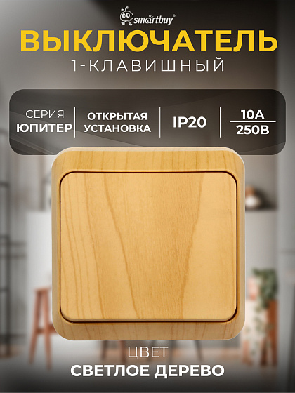 Выкл 1-клав. открытой установки 10А IP20 