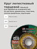 Круг лепестковый торцевой 125х22 14А Р 80(20): миниатюра фото 3