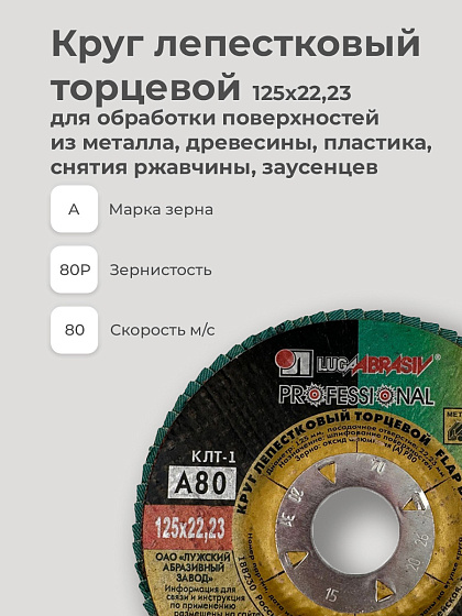 Круг лепестковый торцевой 125х22 14А Р 80(20): фото 3