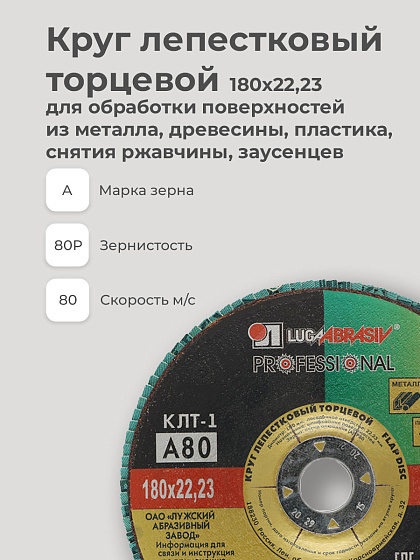 Круг лепестковый торцевой 180х22 14А Р 80(20): фото 3