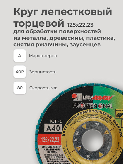Круг лепестковый торцевой 125х22 14А Р 40(40): фото 5