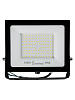 Прожектор светодиодный FL-100 220В LED Модуль 100Вт Smartbuy: миниатюра фото 2