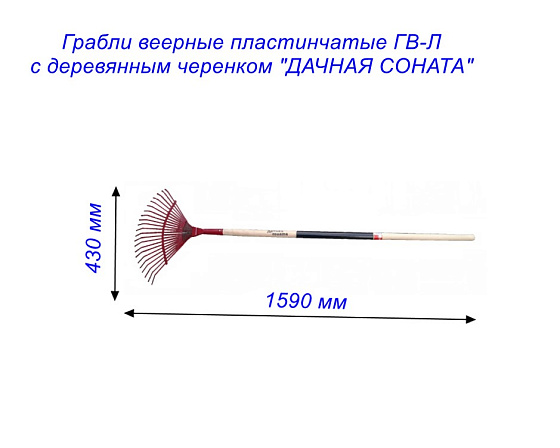 Грабли веерные пластинчатые ГВ-Л с деревянным черенком 