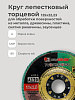 Круг лепестковый торцевой 125х22 14А Р120(10): миниатюра фото 3