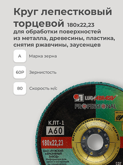 Круг лепестковый торцевой 180х22 14А Р 60(25): фото 3