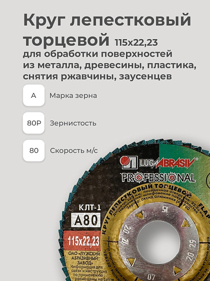 Круг лепестковый торцевой 115х22 14А Р 80(20): фото 3