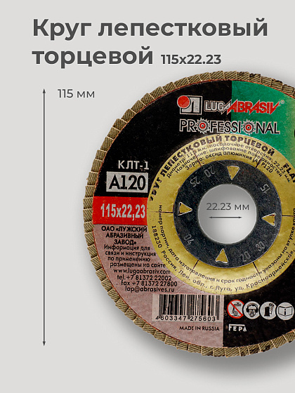 Круг лепестковый торцевой 115х22 14А Р120(10): фото 2