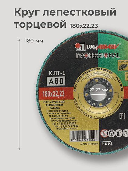 Круг лепестковый торцевой 180х22 14А Р 80(20): фото 2