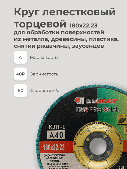 Круг лепестковый торцевой 180х22 14А Р 40(40): фото 3