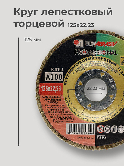 Круг лепестковый торцевой 125х22 14А Р100(16): фото 2